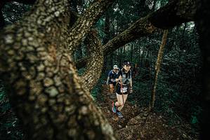 BIB: 
                            <button type="button" onclick="openModal(25695909)" class="btn btn-primary btn-sm float-right btn-popup" data-toggle="modal" data-target=".modal-high-quality">
                        <i class="fas fa-shopping-cart"></i> Add to Cart
                    </button>
                                            <button type="button" onclick="isThisMe(25695909, true)" class="btn btn-success btn-sm float-right btn-popup btn-isme hidden" data-toggle="tooltip" data-placement="bottom" title="นี่คือรูปของคุณใช่ไหม คลิกที่นี่เพื่อเอาเข้าอัลบั้ม">
                        <i class="fas fa-plus"></i> Add to album
                    </button>
                    <button type="button" onclick="isThisMe(25695909, false)" class="btn btn-warning btn-sm float-right btn-popup btn-isnotme hidden">
                        <i class="fas fa-ban"></i> Remove from album
                    </button>